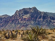 Desert scene at the Red Rock Canyon National Conservation Area in the Las Vegas area Majestic Mountain (3841029921).jpg