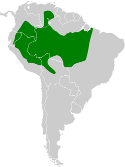 Distribución geográfica del hormiguero carinegro.