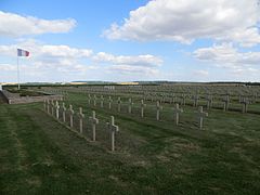 Vue des alignements de tombes