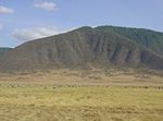 Ngorongoro-Crater-animals.jpg