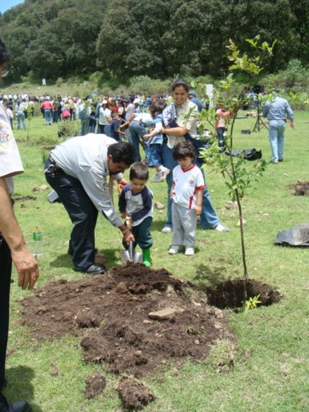 File:Niños reforestando.JPG