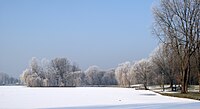 Zalew i park zimą