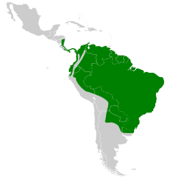 Distribución geográfica del nictibio urutaú.