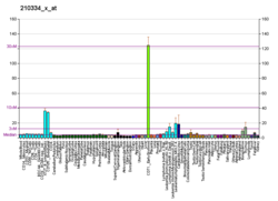 PBB GE BIRC5 210334 x при fs.png