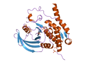 2a3k: Crystal Structure of the Human Protein Tyrosine Phosphatase, PTPN7 (HePTP, Hematopoietic Protein Tyrosine Phosphatase)