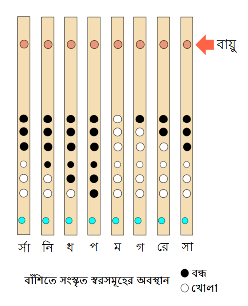 বাঁশিতে স্বরগ্রামের সাতটি স্বরের অবস্থান (অবরোহণ পদ্ধতিতে)।