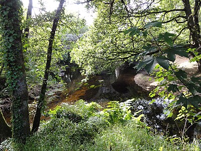 La fin de la rivière Aër (à gauche) lorsqu'elle rejoint l'Ellé (à droite) à Pont-Tanguy.