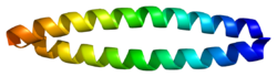 Протеин GMNN PDB 1t6f.png