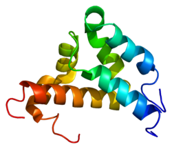 Protein NCOA3 PDB 1kbh.png