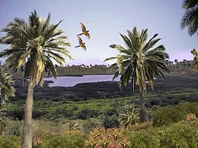 Ландшафт острова Пасхи, каким он был до появления на нем людей (реконструкция)