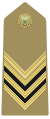 Distintivo per controspallina di sergente maggiore dell'Esercito Italiano.
