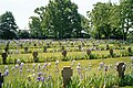 Cimetière militaire allemand de Saint-Désir.