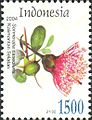 ID021.04, 5 January 2004, Flora - Sonneratia caseolaris