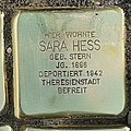 Stolperstein Oberasphe Mühlenweg 5 Sara Hess