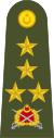 Turkey-army-OF-9a.svg