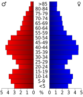 Bevolkingspiramide York County