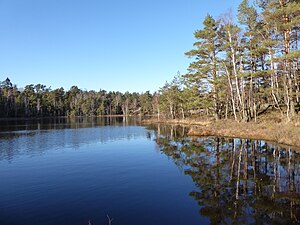 Vägetjärnen från öst i riktning norr den 9 mars 2024.