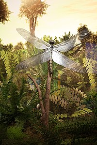 WLA hmns Prehistoric Dragonfly.jpg