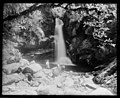 Sightseers visiting Wainui Falls, late 1800s or early 1900s. From the Tyree Collection.