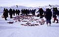 Thumbnail for version as of 08:25, 16 Suvluġvik 2006