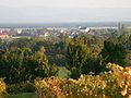 Blick aus den Weingärten auf Weikersdorf am Steinfelde (Bild 1)