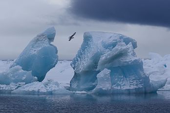 Un iceberg de l'archipel François-Joseph, en mer de Barents. (définition réelle 4 596 × 3 064)