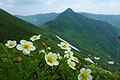 2021年8月7日 (土) 14:46時点における版のサムネイル