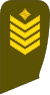 11-Lithuania Army-MSG.svg