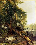 1850 《卡茨基尔山风景》（Kaaterskill Landscape），普林斯顿大学艺术博物馆