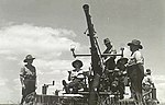 Gunners of 651st Light Anti-aircraft Battery, Volunteer Defence Corps training on Bofors gun at Fort Lytton 1944 [gallery 22]