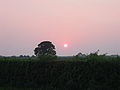 Zachód słońca w Cockerham