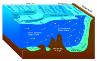 Example of different ocean currents in the Southern Ocean Antarctic bottom water.svg