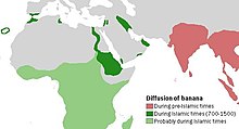 Карта, на которой указано, что выращивание бананов происходило в доисламские времена в Индии и Юго-Восточной Азии, в «исламский период» 700–1500 гг. Н.э. вдоль реки Нил, в Месопотамии и Палестине, и менее определенно в Африке к югу от Сахары в тот же период.