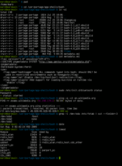 Bash, the default shell on many GNU/Linux systems. Bash screenshot.png