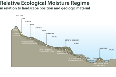 Landscape profile showing soil moisture regime categories along a gradient from rock hilltop to valley bottom