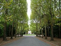 View of the central avenue