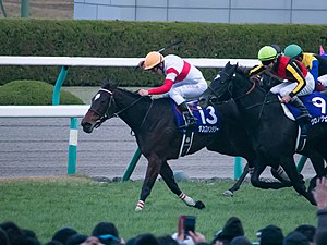 2018年冠軍「野田幻想」