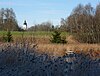 Waldweiher südöstlich von Dietramszell; im Hintergrund der Turm der Klosterkirche Dietramszell