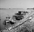 Boote am Donauufer bei Gönyű (1955)