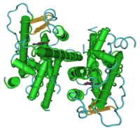 Рецептор эстрогена бета 1U3S.png