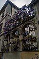 Firenze, Via Luigi Salvatore Cherubini