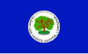 Dipartimento di San Vicente – Bandiera