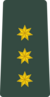 Армия Грузии OF-1c.png