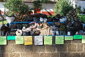 Street vendor selling herbal remedies in Patzc...