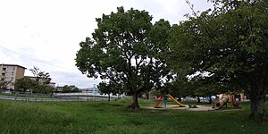 金屑川公園