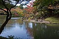 小石川後楽園の大泉水と蓬莱島