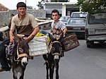 Круя Албания - Donkeys.jpg