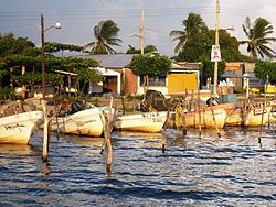 Boote in Paredón