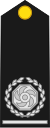 London Fire Brigade - Deputy Assistant Commissioner rank insignia.svg