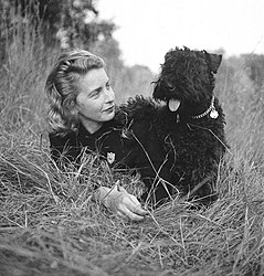 Margaret Wise Brown, 1940-1950